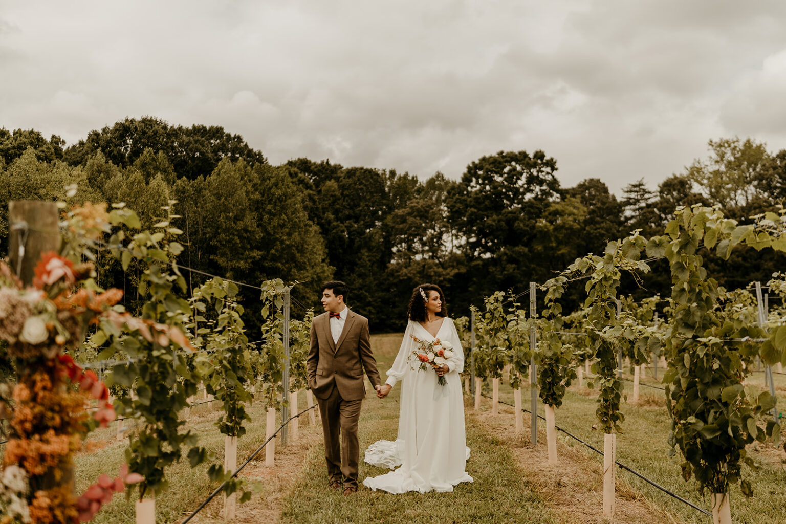 A man and woman holding hands in the middle of a vineyard.