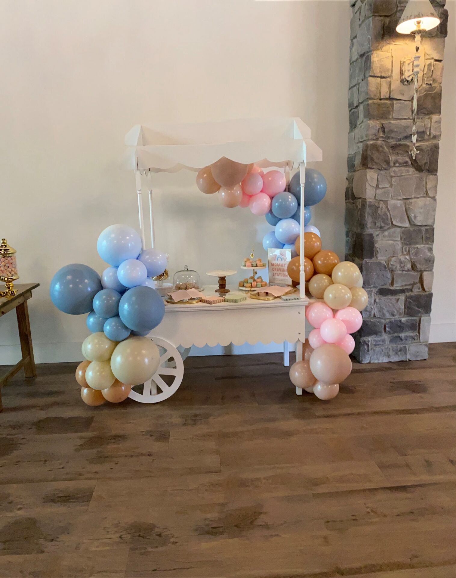 Daryl and Christine's Gender Reveal Event 4.9.2022